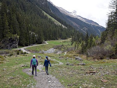 Auf kleinen Pfaden können wir den Weg auf der Fahrstraße verkürzen