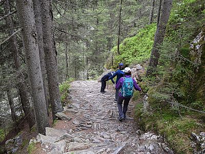 Steil führt uns der Weg zurück zum Ausgangspunkt