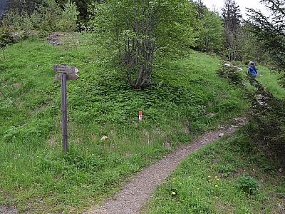100 Meter später zweigen wir rechts auf einen kleinen Pfad ab