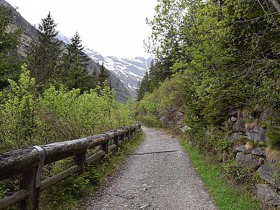 Auf einem Forstweg dringen wir nach Westen tiefer in das Tal ein