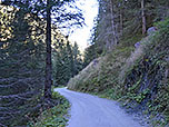 ...und schlagen einen Forstweg ein