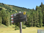 Der Weg ist beschildert und mit 35 Minuten angegeben
