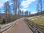 Der breite Weg...