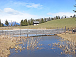 ...bringt uns zur Bruggenlacke