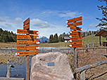Schilderwald an der Bruggenlacke