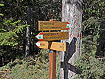 Das Knottnkino ist bestens ausgeschildert