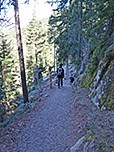 Langsam lichtet sich der Wald, ...