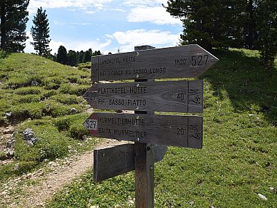 20 Minuten trennen uns von der Einkehr in der Murmeltierhütte