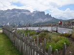 Das Rifugio Emilio Comici hat auch einen Kräutergarten