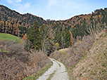 ...und schlagen einen Karrenweg ein