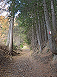 In moderater Steigung wandern wir bergauf