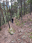 Es folgt ein letzter Waldpfad, ...