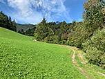 Ein Karrenweg...