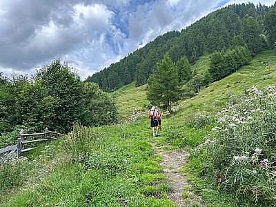 ...und folgen dem kleinen Pfad bergauf
