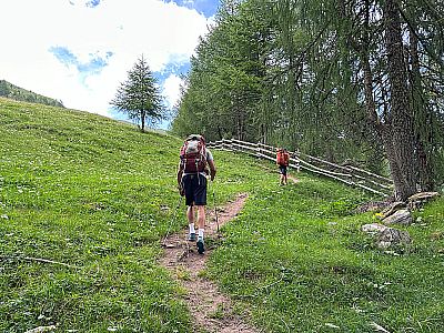 Wir lassen die Bäume hinter uns...