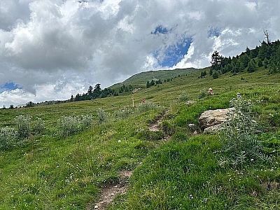 ...und erreichen das Wiesengelände der Höferalp