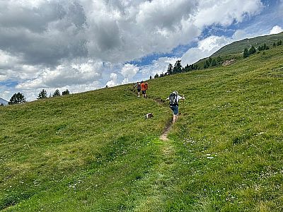 ...und wandern weiter über den Wiesenhang bergauf