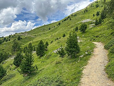 ...geht es im leichten Auf und Ab...