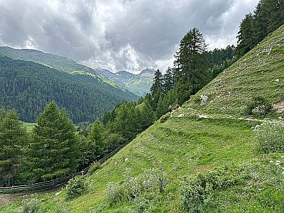 ...und queren einen Hang