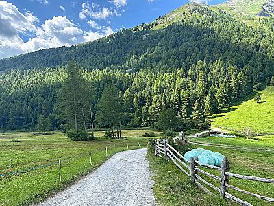 Nach der Schliniger Alm...