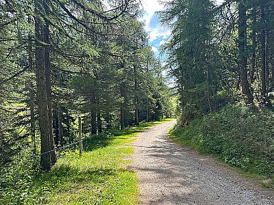 Wir durchstreifen ein kleines Wäldchen