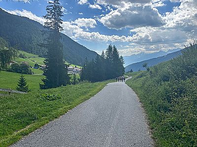 ...zurück nach Schlinig