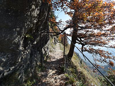 Durch ein kleines Tor betreten wir den eigentlichen Weg