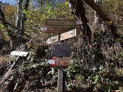 Hier ist der Abzweig zur Leiteralm, wir bleiben aber auf dem unteren Weg