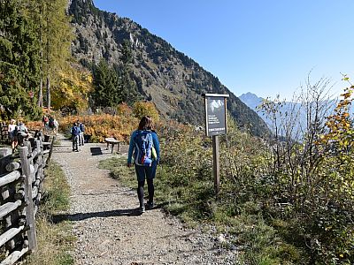 Bequem wandern wir zur nahen Leiteralm