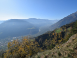 Der Ausblick nach Osten ins Vinschgau