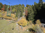 Der Herbst hat an den Bäumen bereits seine Farben spielen lassen