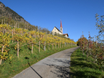 Der Blick zurück auf die Vellauer Kirche