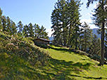 ...zu einer Lichtung mit einer kleinen Holzhütte