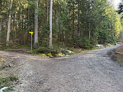 Am folgenden beschilderten Abzweig biegen wir erst links ab