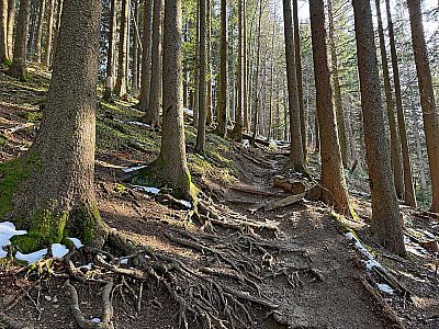 Langsam lehnt sich das Gelände ein wenig zurück