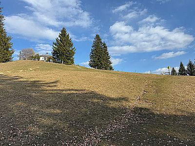 ...und betreten das Wiesengelände der Neureuth