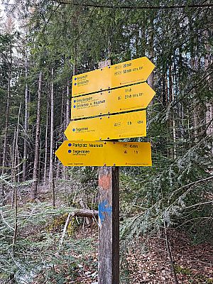 ...und biegen am ersten beschilderten Abzweig...