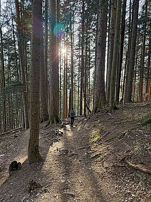 ...rechts ab Richtung Sommerweg und Bayernweg