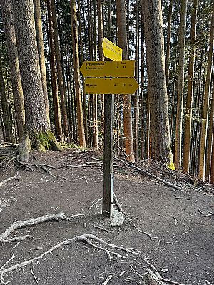 ...zu einer Verzweigung