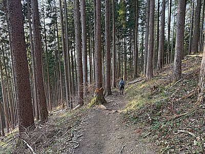 Wir entscheiden uns für den Sommerweg...