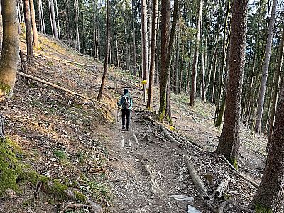 ...und wandern in Kehren hinunter...