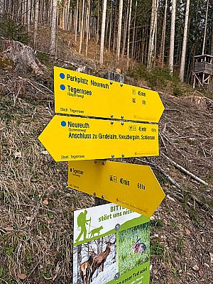 Den Forstweg verlassen wir gleich wieder rechtshaltend...