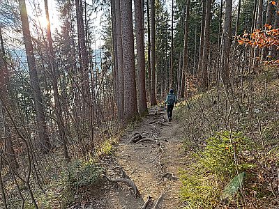 ...und folgen dem Sommerweg...