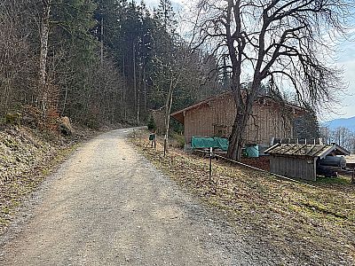In Oberbuchberg schlagen wir den breiten Forstweg...