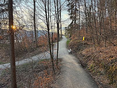 ...und treffen auf den Tegernseer Höhenweg