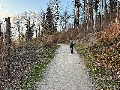 Der Tegernseer Höhenweg wird uns zurück nach Gmund bringen