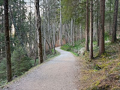 Auf dem flachen Tegernseer Höhenweg...