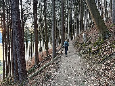 ...wandern wir durch den Wald nordwestwärts