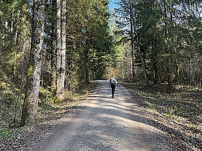 In moderater Steigung...