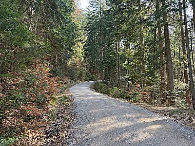 ...folgen wir der breiten und kurvigen Trasse...